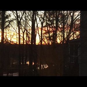 Meet your Posher, Sue